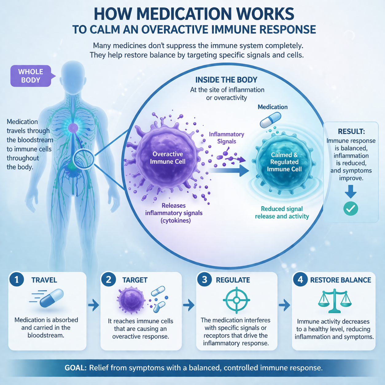Medical illustration explaining how hydroxychloroquine works by regulating immune system activity.